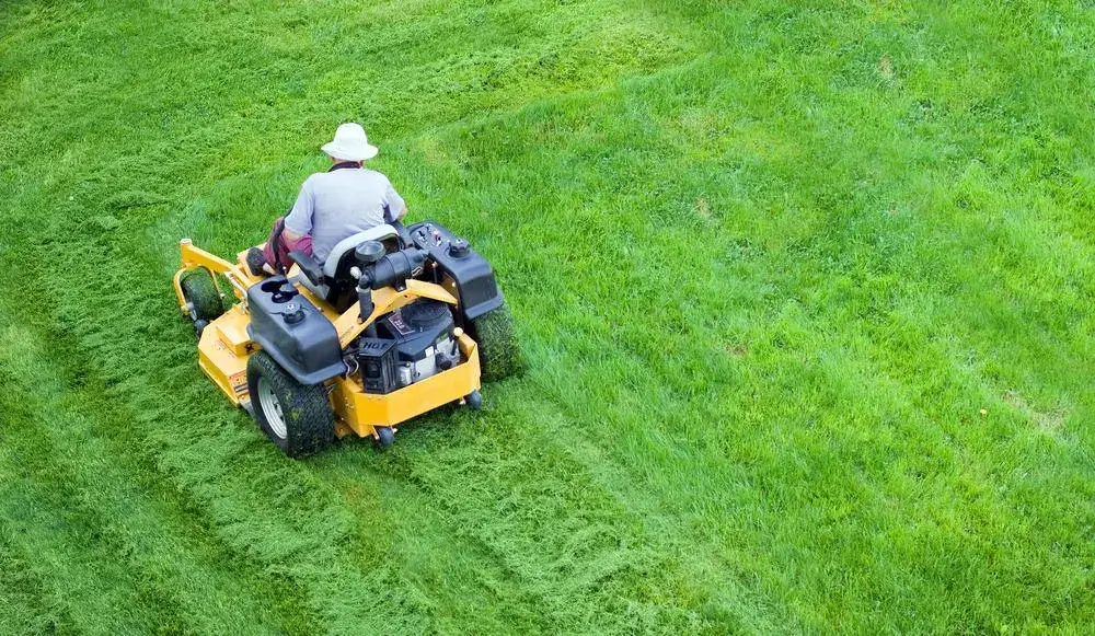 Can I Mow Right After Aerating