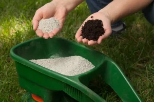 Best Fall Fertilizer for Lawns Image