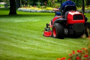 Best Riding Lawn Mower for 1 Acre Image