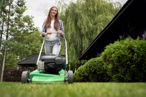 Can You Mow the Lawn While Pregnant Image