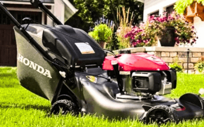 Image of Honda lawn mower oil type